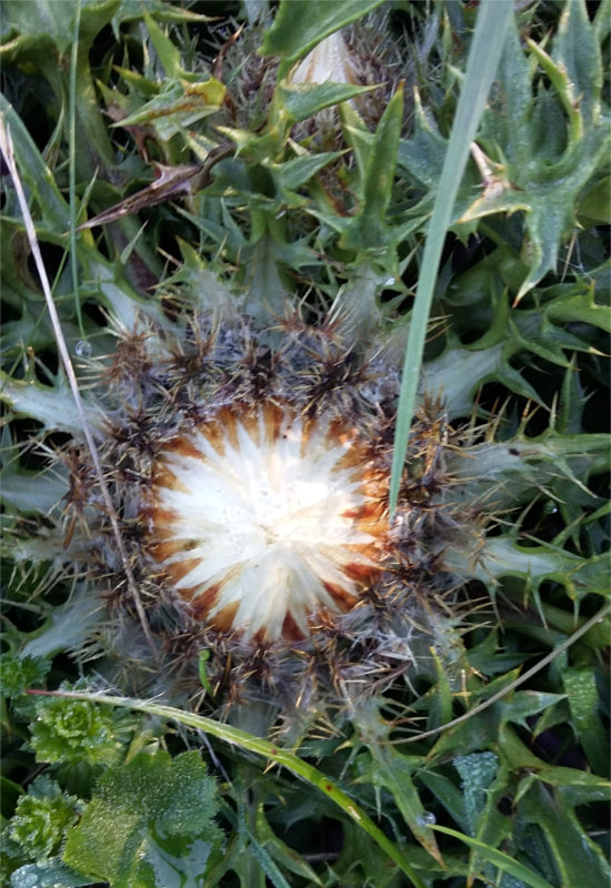 Atem-Entlebuch – Kosten Atemtherapie